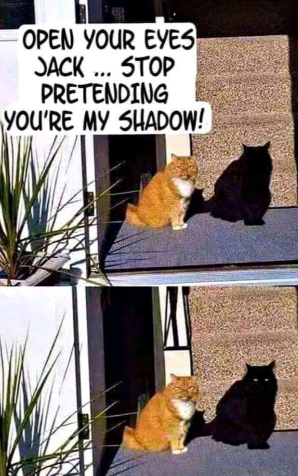 I%26%238217%3Bm+John+Cena