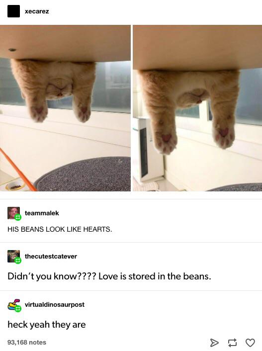 He%26%238217%3Bs+got+a+heart+of+beans%26%238230%3B