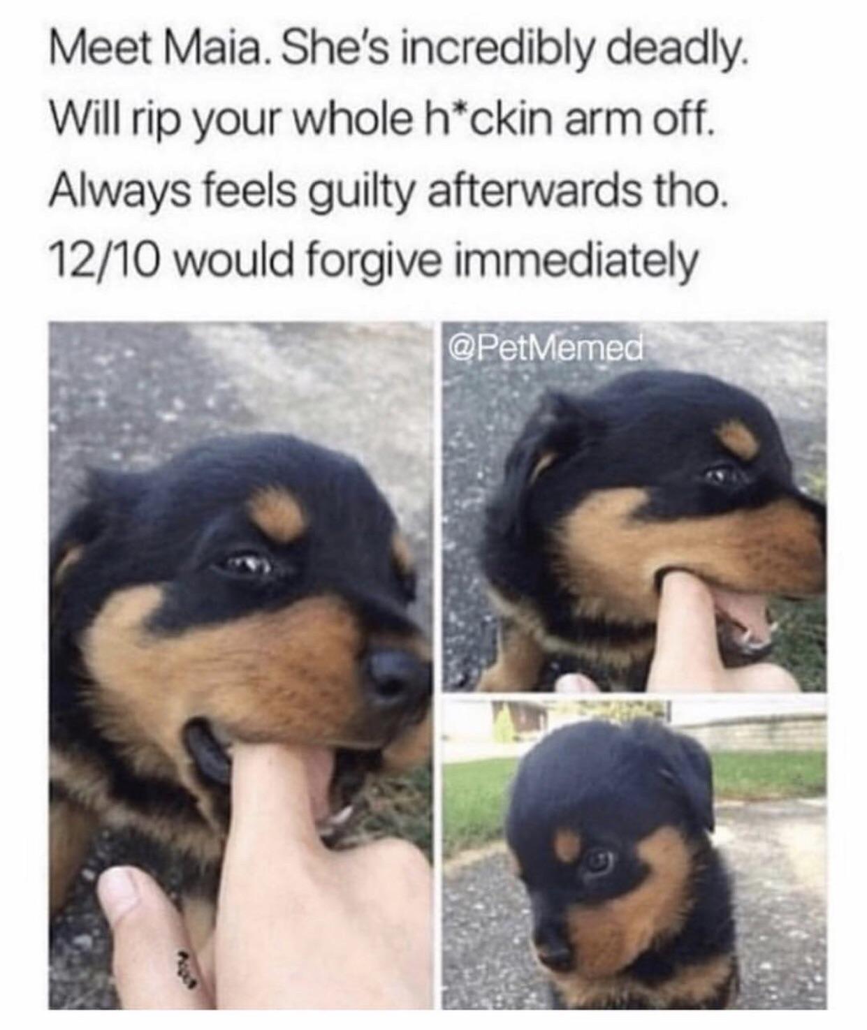 Can%26%238217%3Bt+stay+mad