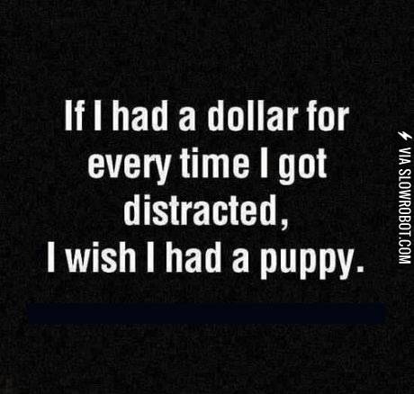 If+I+had+a+dollar+for+every+time+I+got+distracted%26%238230%3B