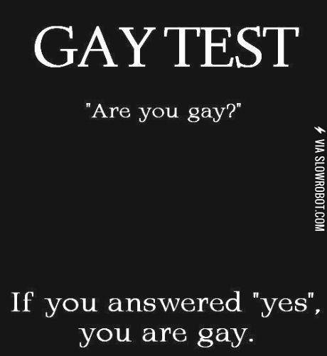 The+gay+test.