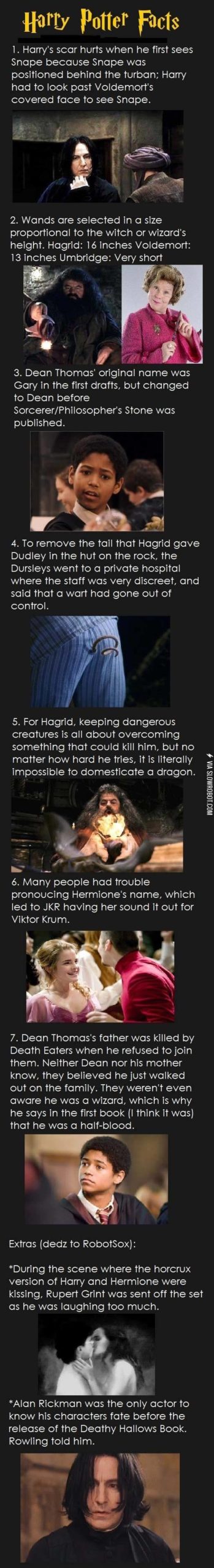 Harry+Potter+facts.