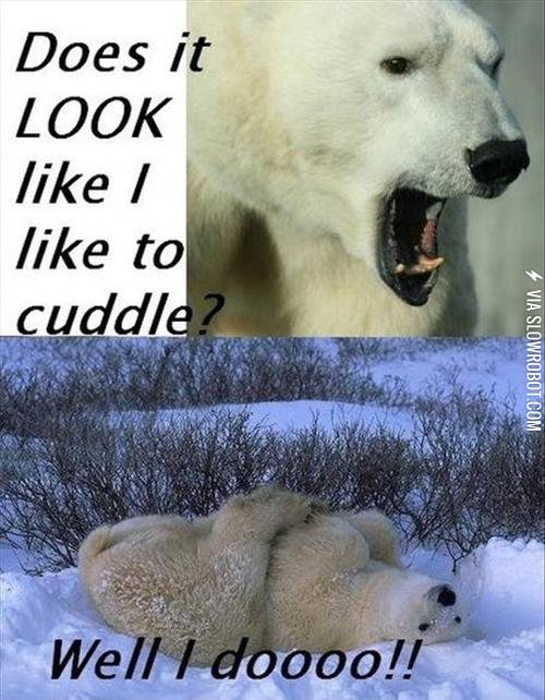 Does+it+look+like+I+like+to+cuddle%3F