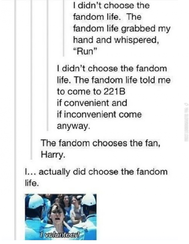 I+didn%26%238217%3Bt+choose+the+fandom+life%2C+the+fandom+life+chose+me.