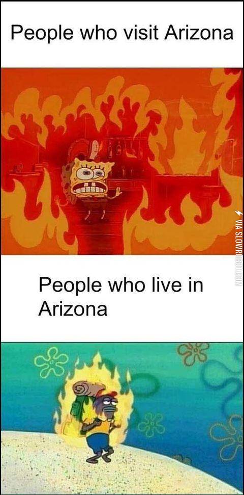 In+celebration+of+Arizona%26%23039%3Bs+first+100%C2%B0+day+of+the+season