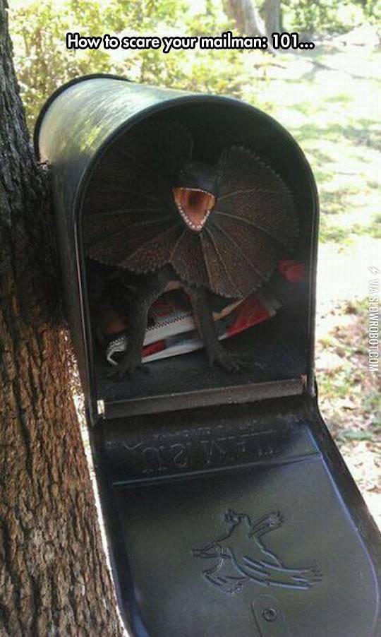 How+To+Never+Get+Mail+Again