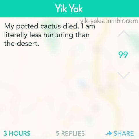 My+potted+cactus+died