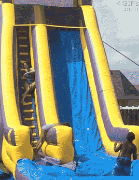 Labrador+Thinks+He%26%238217%3Bs+A+Kid