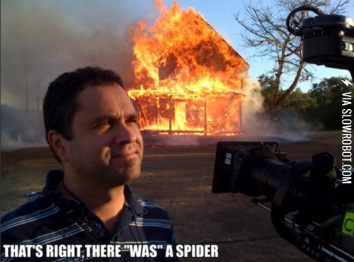 How+I+feel+about+spiders.