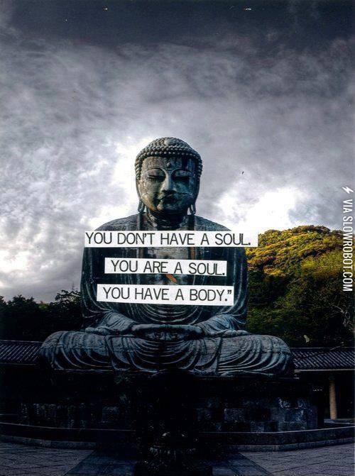 You+are+a+soul.