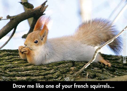 Draw+my+like+one+of+your+French+squirrels%26%238230%3B