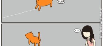 Cat+logic.