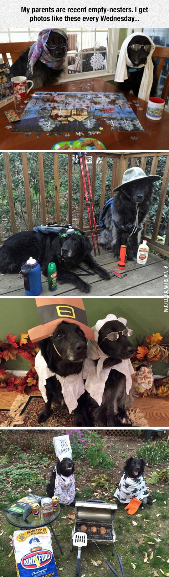 Keeping+Themselves+Busy