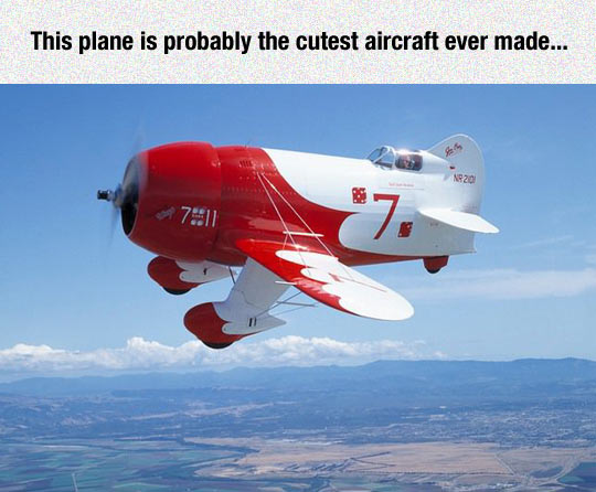 Cutest+Aircraft+Ever+Made