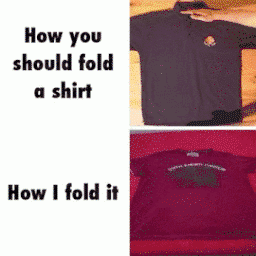 Efficiency+vs.+Sufficiency