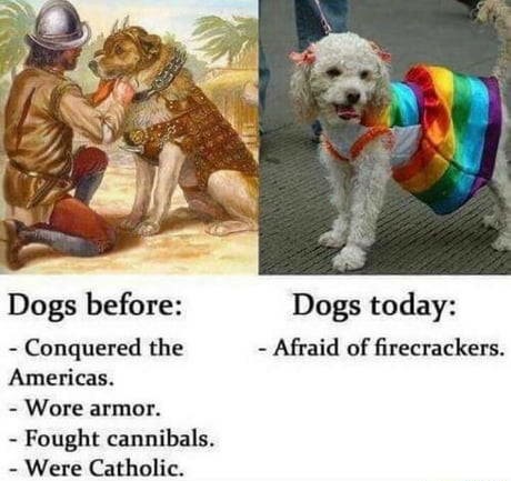 Dogs+%3A+Then+vs+Now