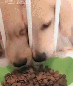 At+first+I+thought+what+savage+would+do+this%3F