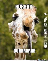 This+is+why+I+like+giraffes.