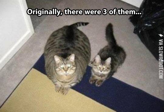 And+then+there+was+2