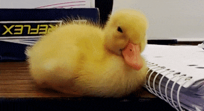 Who+else+is+tired%3F