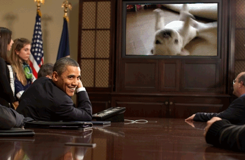 Meanwhile%2C+at+The+White+House.