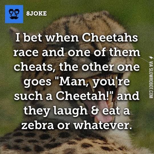 When+cheetahs+race.