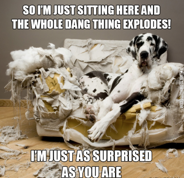 Pretending+to+be+innocent.