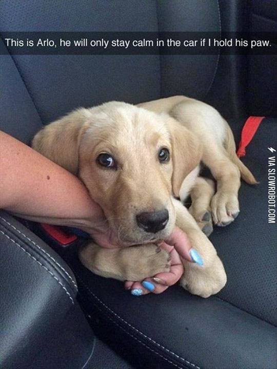 The+Only+Way+He+Says+Calm