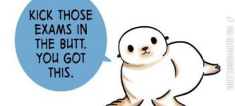 So+here%26%238217%3Bs+a+cute+positivity+seal