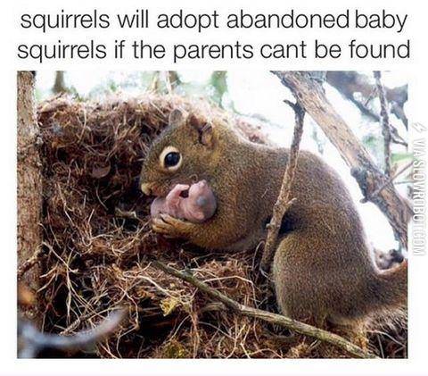 Yeah%26%238230%3B+It%26%238217%3Bs+called+kidnapping%21