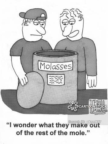Molasses