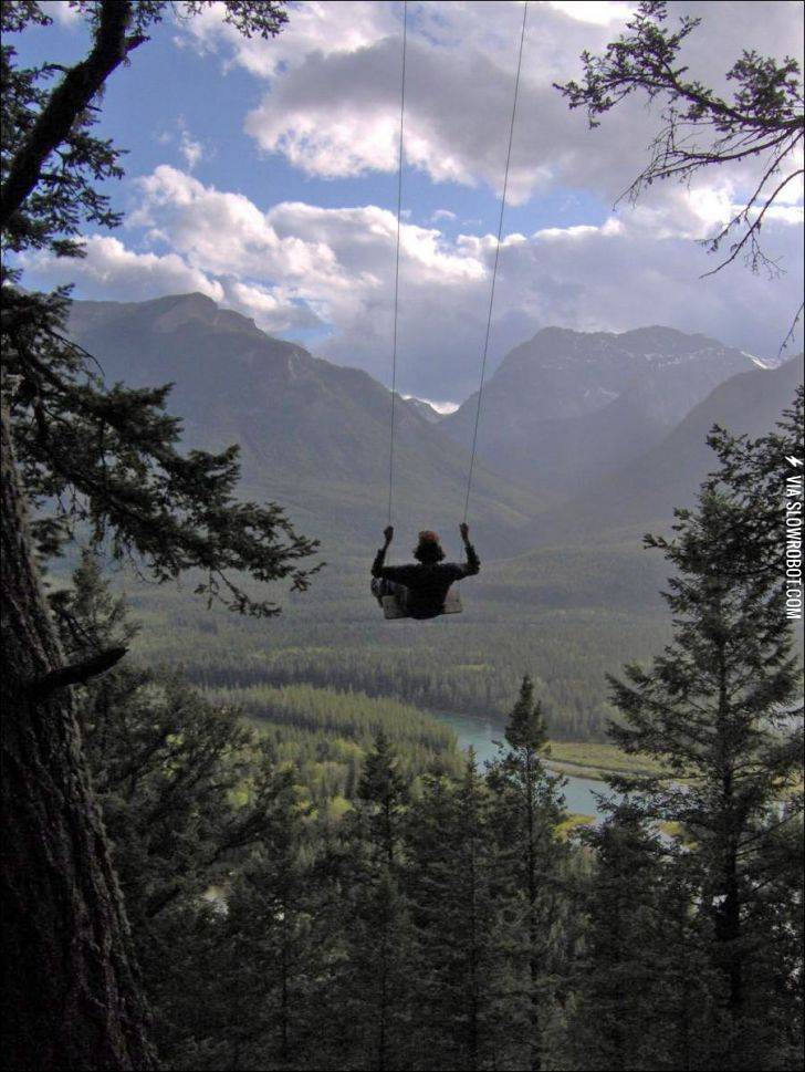 I+need+to+find+this+swing.