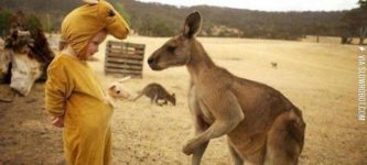 I+think+they%26%238217%3Bre+starting+to+suspect+I%26%238217%3Bm+not+a+real+kangaroo.