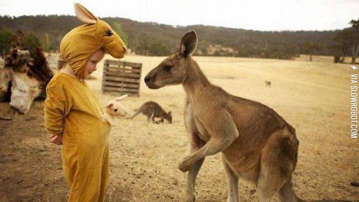 I+think+they%26%238217%3Bre+starting+to+suspect+I%26%238217%3Bm+not+a+real+kangaroo.