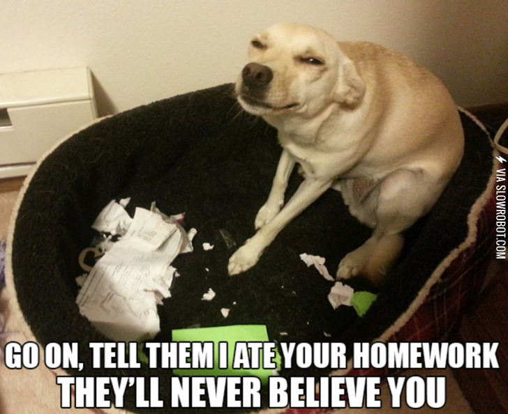 Your+teacher+will+never+believe+you%21