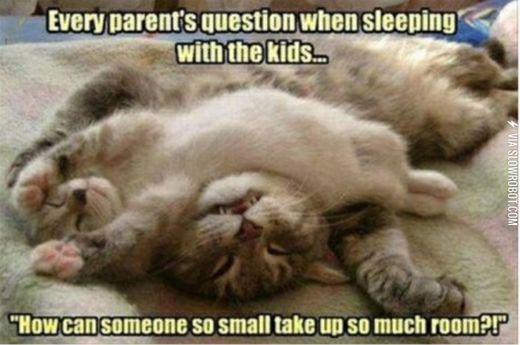 Every+parent%26%238217%3Bs+question+when+sleeping+with+the+kids%26%238230%3B