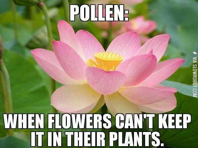 Allergies.+Your+body+is+just+jealous.