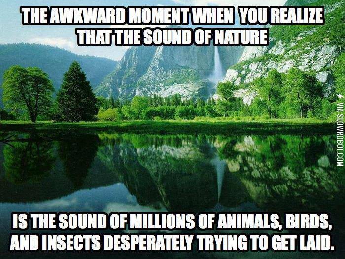 Well+it+used+to+be+relaxing.