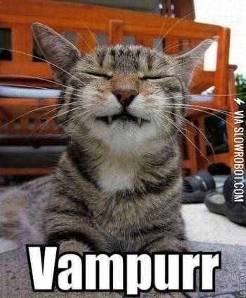 I+vant+to+suck+your%26%238230%3B+tunazzzz%21