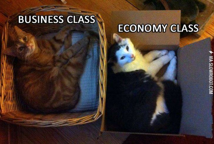 Kitty+classes.