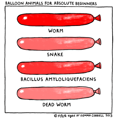 Balloon+animals+for+beginners.