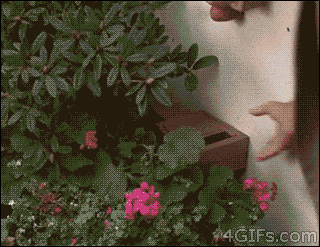 When+locked+out%2C+my+trusty+emergency+house+key+never+fails