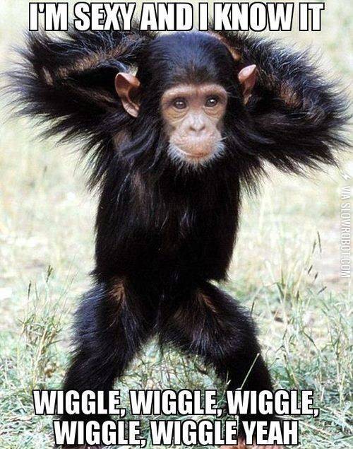 I%26%238217%3Bm+sexy+and+I+know+it.