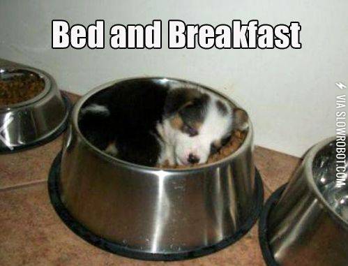 Bed+and+breakfast.