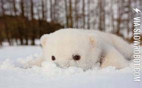 I+am+seeking+for+my+food+in+snow