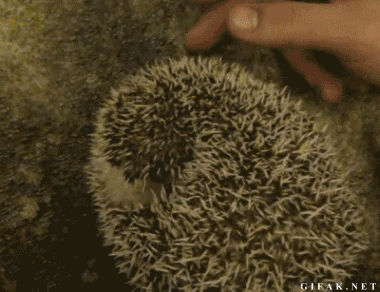 Oh%2C+that%26%238217%3Bs+the+spot%26%238230%3B