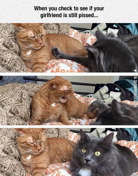 Babe%2C+Are+You+Still+Mad%3F