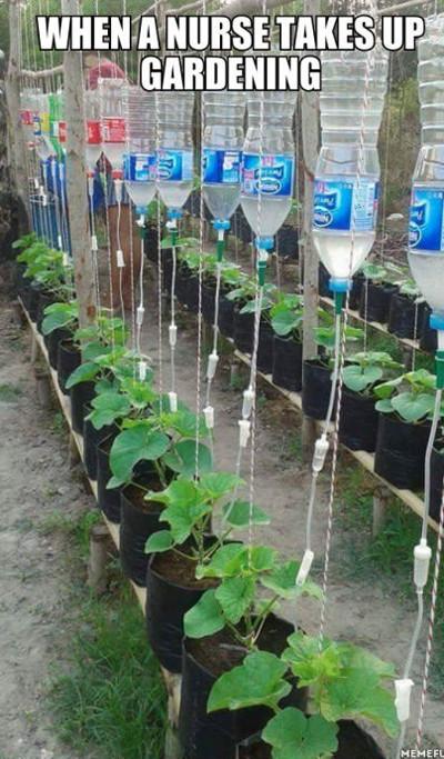 When+A+Nurse+Takes+Up+Gardening%26%238230%3B