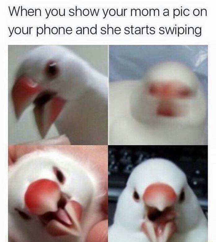 When+you+show+your+mom+a+pic+on+your+phone+and+she+starts+swiping