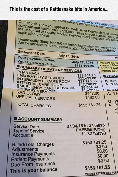 This+Is+The+Cost+Of+A+Rattlesnake+Bite+In+America.